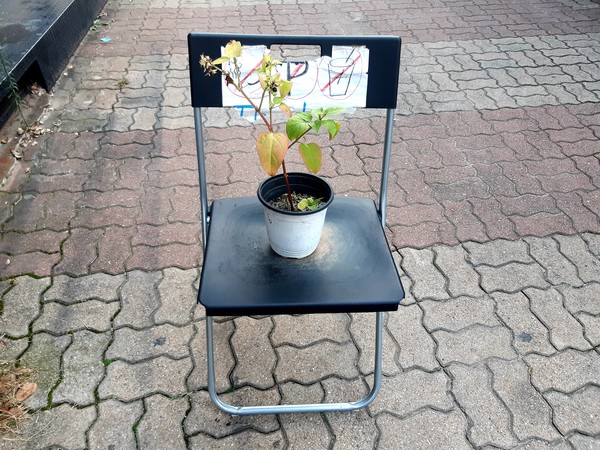 성수동 @뉴스코리아 허승규 기자