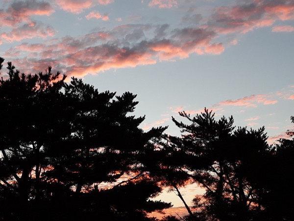 제주의 일출 하늘