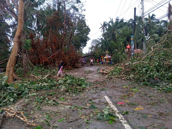 태풍으로 전신주와 코코넛 나무등이 속수무책으로 쓰러져 있다. @뉴스코리아 공동취재단