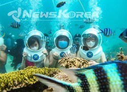 씨워드에서 한국 관광객 - 코로나 예방 수칙 준수
