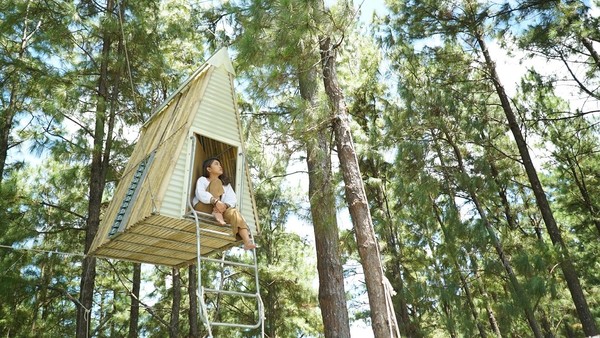 마숭이 지오리저브 (사진: 필리핀관광부)