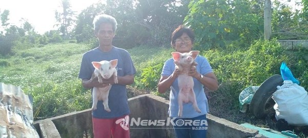 배달된 새끼돼지 한쌍을 안고 함박 웃음을 지어보이는 피해주민들의 반가운 사진 @뉴스코리아 이재숭 특파원