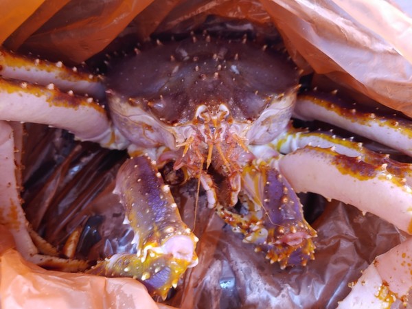 @뉴스코리아 임수현 기자