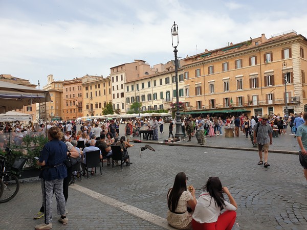 로마시내 @뉴스코리아 임성택 특파원.