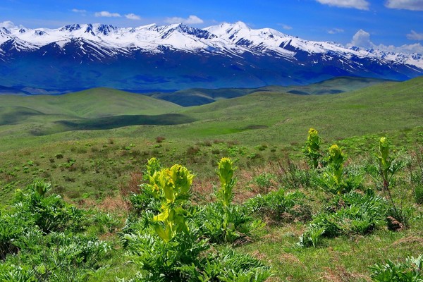키르기즈스탄의 산의 풍경들 @뉴스코리아 맘라리예바 아이다 통신원