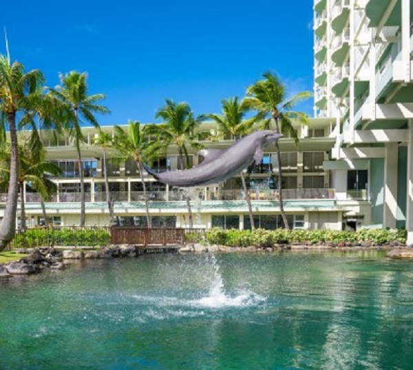 돌고래와 교감하는 돌핀 퀘스트(Dolphin Quest) 프로그램 (사진 : The Kahala Hotel & Resort)