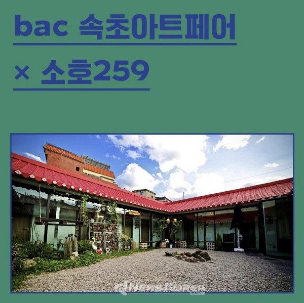 2022년 bac 속초아트페어 X 소호259