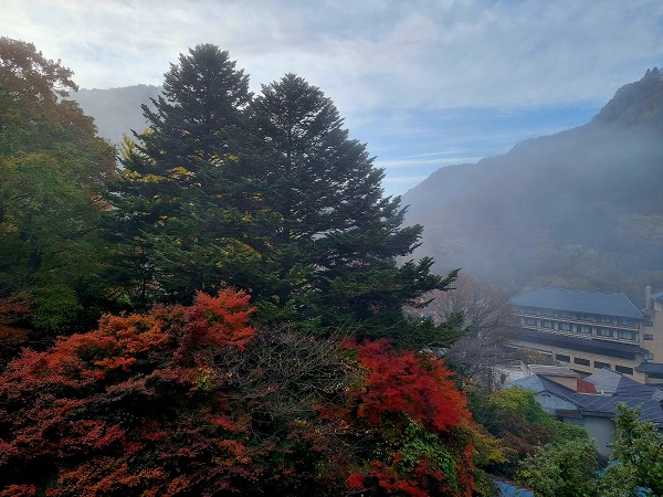 숙소 베란다에서 바라 본 마을 전경 @뉴스코리아 허승규 특파원