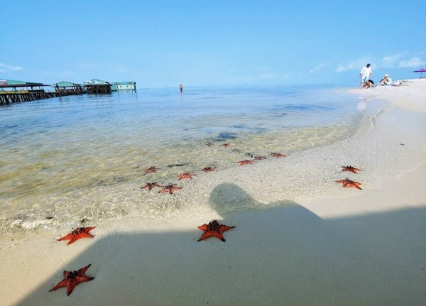 푸꾸옥섬 최북단 불가사리해변 @ 뉴스코리아 이웅연 특파원