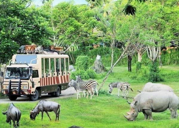 푸꾸옥 빈펄사파리 @ 뉴스코리아 이웅연 특파원