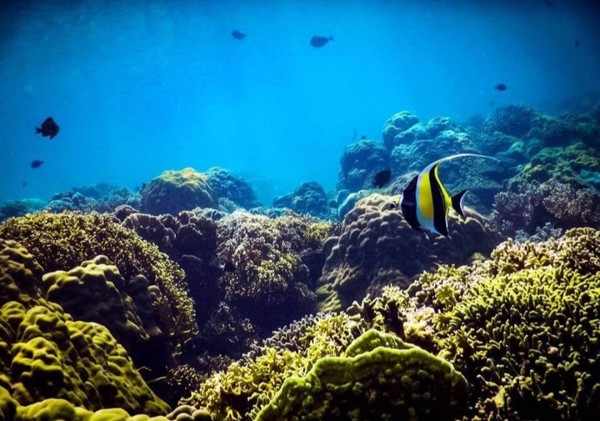 푸꾸옥의 맑은 바닷속 @ 뉴스코리아 이웅연 특파원