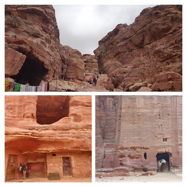 페트라의 상인들 @뉴스코리아 임성택 특파원.