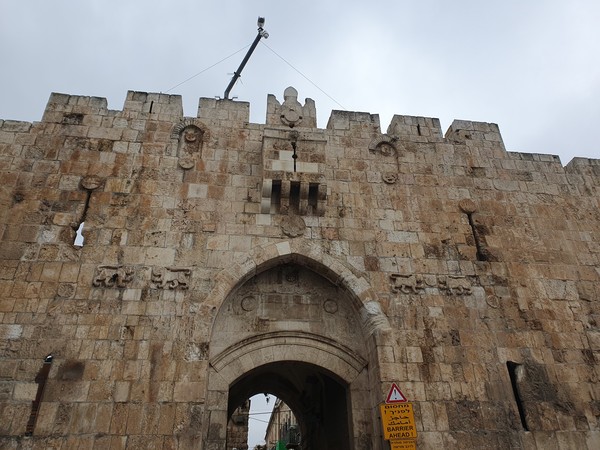 라이온게이트 @뉴스코리아 임성택 특파원