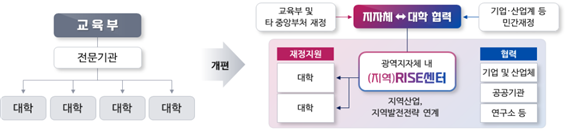 RISE(Regional Innovation System & Education) 사업 개요. @교육부