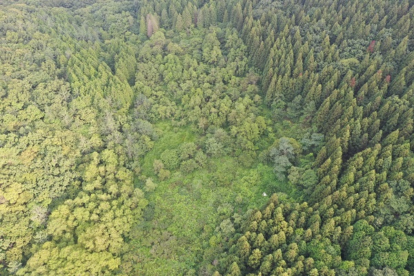 순천만에 위치한 와룡 산지습지보호지역 (사진: 뉴스코리아)