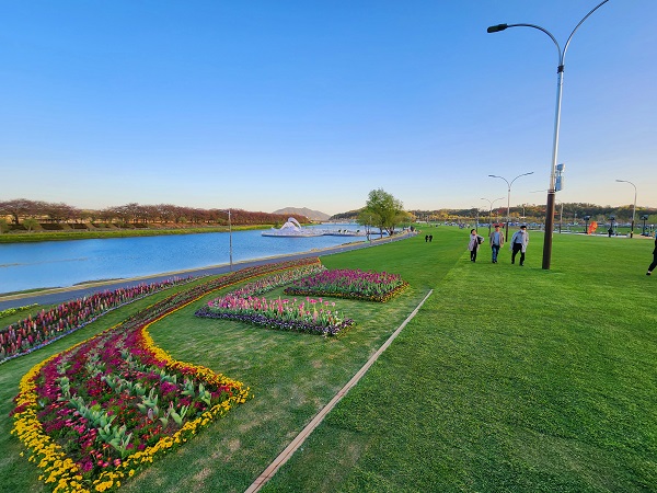 자동차만 쌩쌩 다니던 아스팔트 도로 신호등과 가로등의 흔적이 남아있는 도심속 힐링스팟이자 후손에게 쉼과 여유를 선물하는 큰 자산이 된 그린아일랜드·오천그린광장 @뉴스코리아 허승규 기자