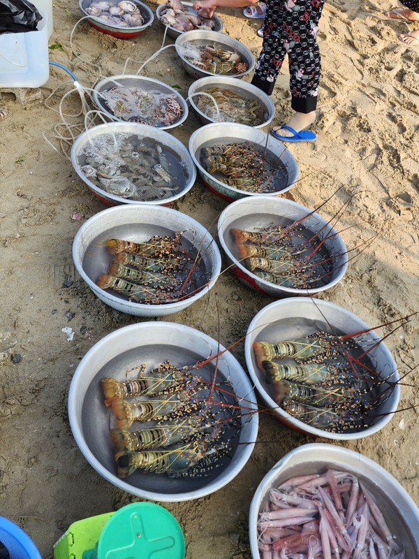 어린이 얼굴만한 크레이피쉬가 양동이 가득차있다. @뉴스코리아 이웅연 특파원 