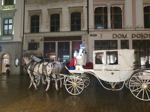 크라쿠프광장 여성마부 마차 @뉴스코리아 임성택특파원