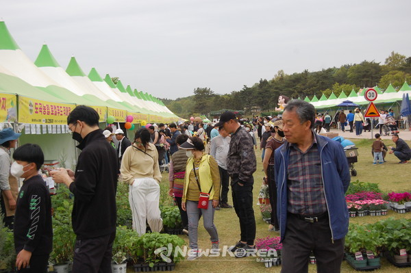 전라남도 화순 고인돌 축제에서 시민들이 부스를 돌아다니며 축제를 만끽하고 있다. @뉴스코리아 권순철 기자