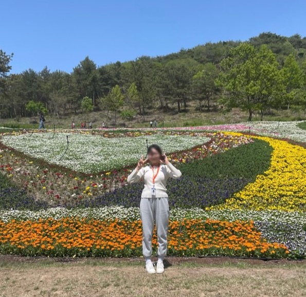 화려하게 물든 고인돌마을 꽃밭 @뉴스코리아 김희수 기자
