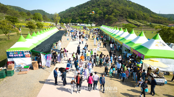 4월 21일부터 4월 30일 까지 10일간 화순 고인돌공원(도곡면 효산리, 춘양면 대신리 일원) 일대에서 펼쳐진 고인돌 축제 현장. 화순군에 따르면 행사 기간 동안 입장객 수는 총 33만1840명으로 집계되었다. @뉴스코리아 권순철 기자