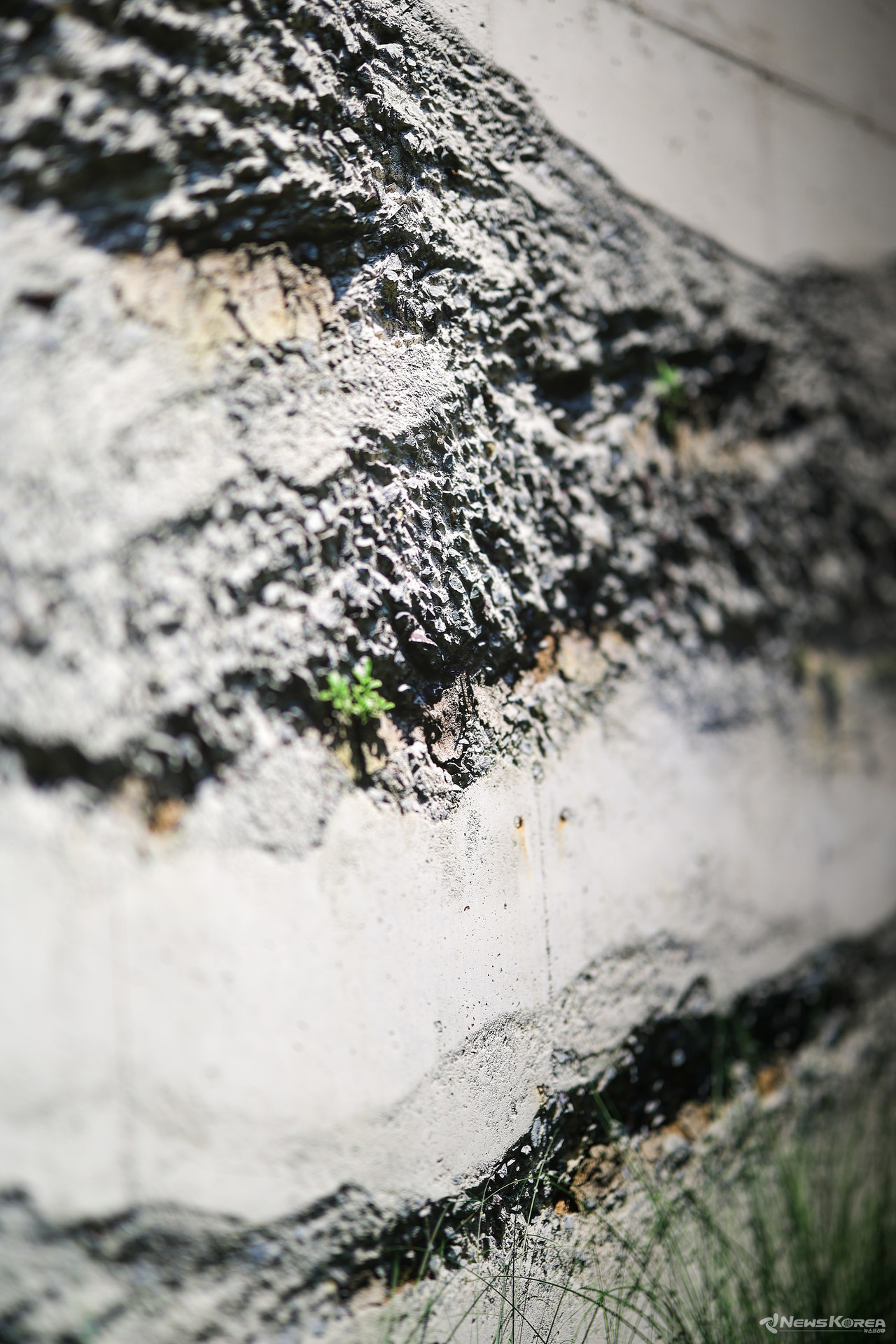 김용관작가 작품 크롭. 1억5천만 화소의 느낌은 작품을 직접 보지않고는 느낄 수 없다.