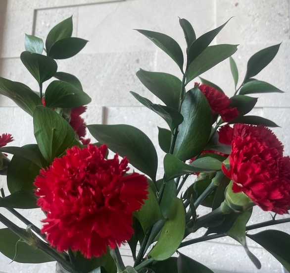 자택에 배달된 카네이션 @뉴스코리아 이수진 기자