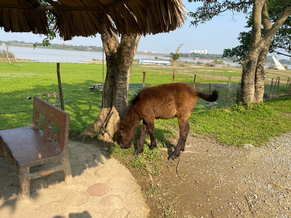 홍강 주변 유원지 @뉴스코리아 이웅연특파원 
