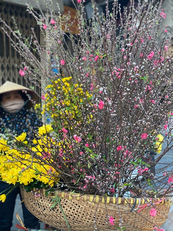 구도심의 꽃파는 상인 @뉴스코리아 이웅연특파원 