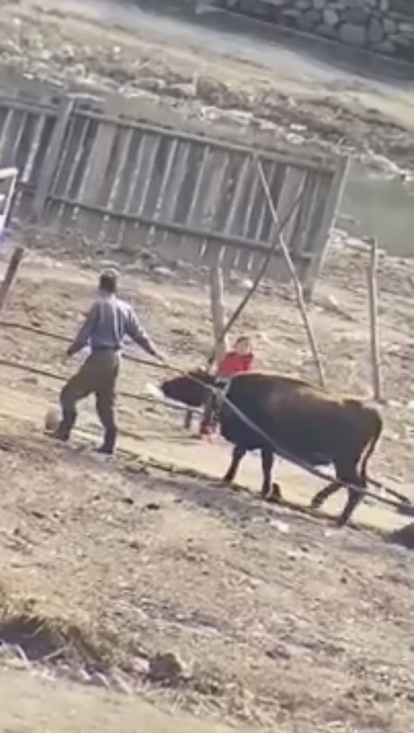 2023년 북한의 지방 상황을 보여주는 동영상 자료 캡쳐본 @제보자 제공