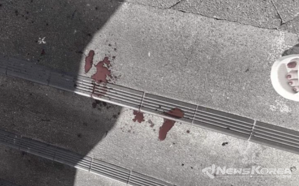 피투성이된 콘크리트 바닥 @위클리코리아