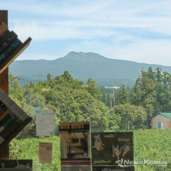 책장 너머로 한라산이 보이는 ‘취향의 섬 북앤띵즈’ @제주관광공사 제공
