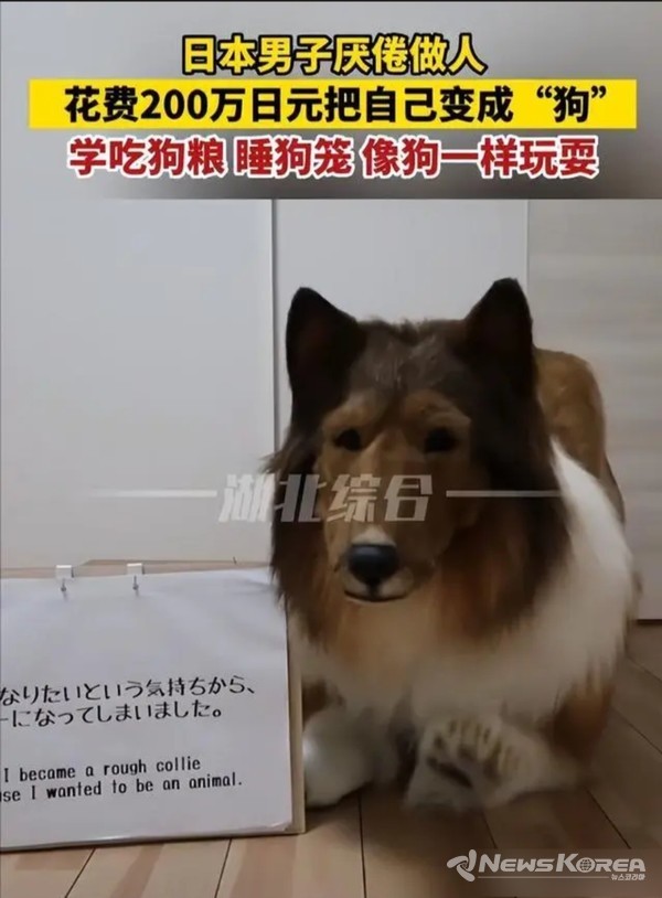 세퍼드 외피를 걹치고 있는 일본인 남성 토고