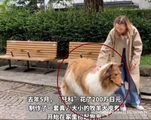 집을 떠나 실내에서 야외로 활동을 옮긴 토고