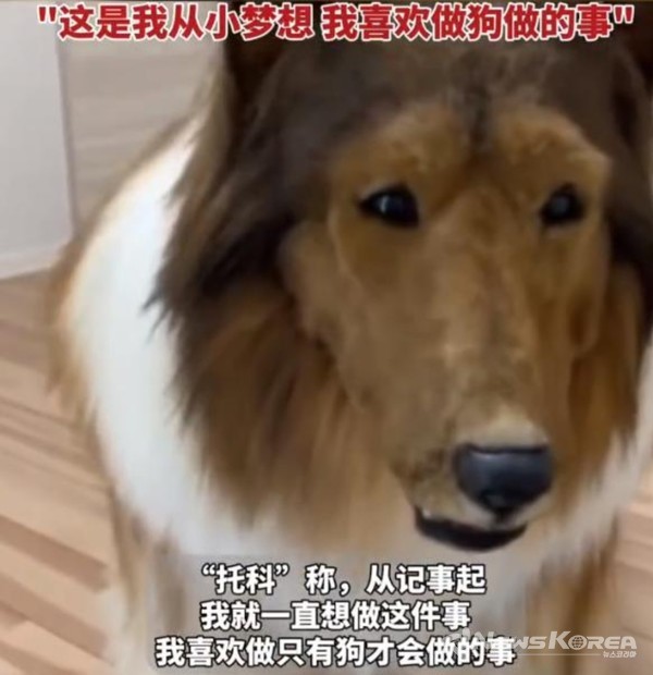 토고가 걸치고 있는 세퍼드 외피