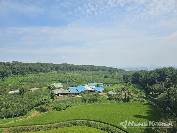 논두렁@뉴스코리아  최신 기자