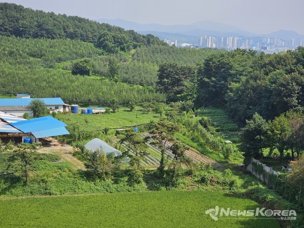 비가 그친 주말 오후 한적한 농촌 풍경 @뉴스코리아 최신 기자