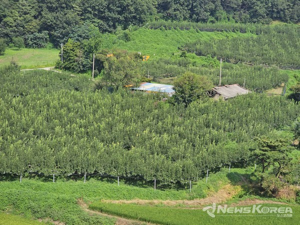 비가 그친 주말 오후 한적한 농촌 풍경 @뉴스코리아 최신 기자