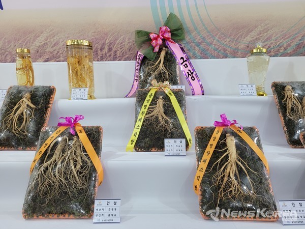 .지난해 음성명작전시관 인삼 @음성군