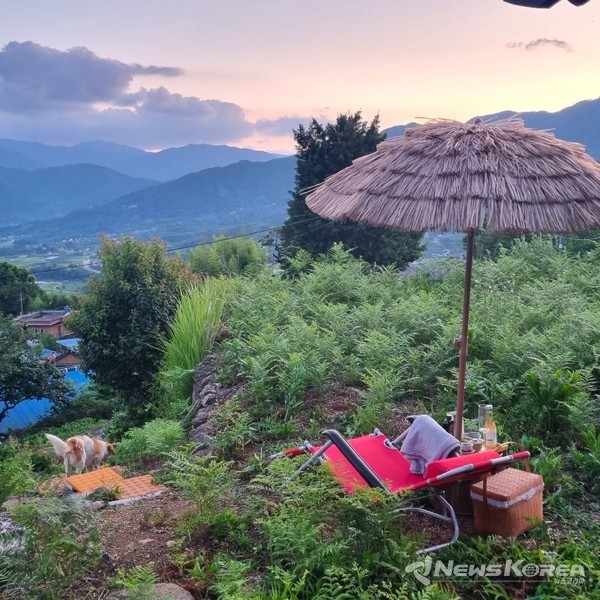 지리산 ‘금향다원’ 전경 @뉴스코리아