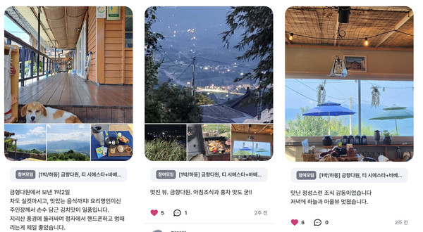 지리산 ‘금향다원’ 후기 @뉴스코리아