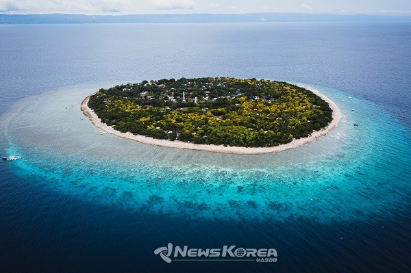 초보자가 다이빙하기 좋은 필리핀 최고의 다이빙 여행지, 보홀 발리카삭(Balicasag) 섬