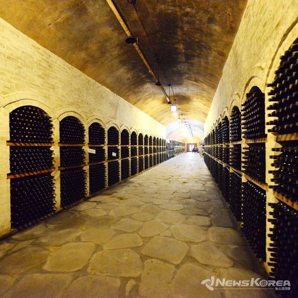 ‘하미앙’ 와인동굴 전경