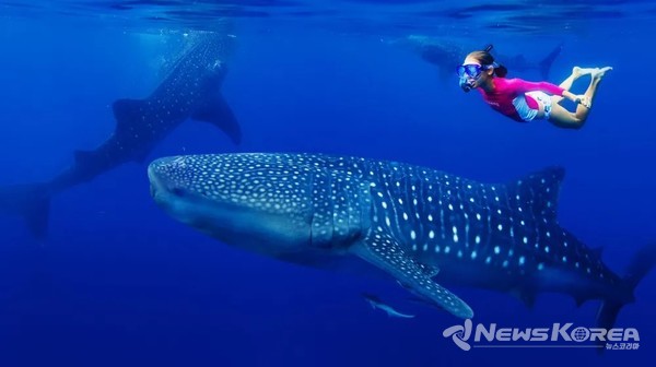 오슬롭, 필리핀 @뉴스코리아 포토DB