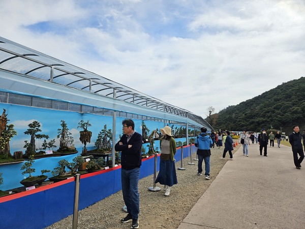 분재를 관람하는 시민들 @뉴스코리아 김여진 기자