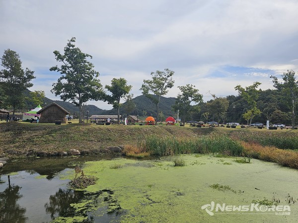 축제장 진입로에 가을꽃과 연못이 조화롭게 보인다 @뉴스코리아 최신 기자