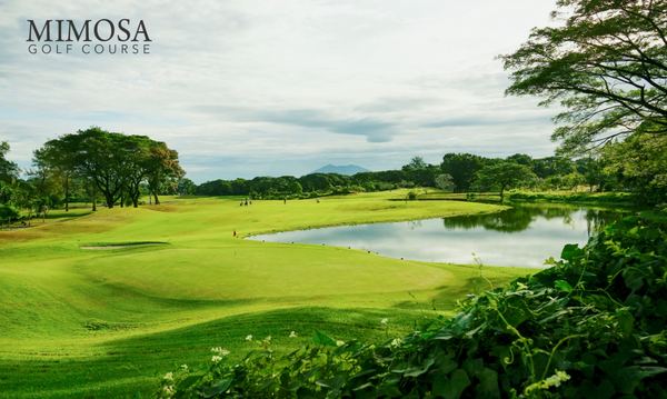 클락 대표 골프장 미모사 골프클럽 전경