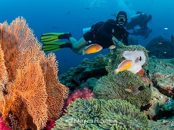 팔라완 섬의 투바타하 산호초 자연 공원 @필리핀관광부