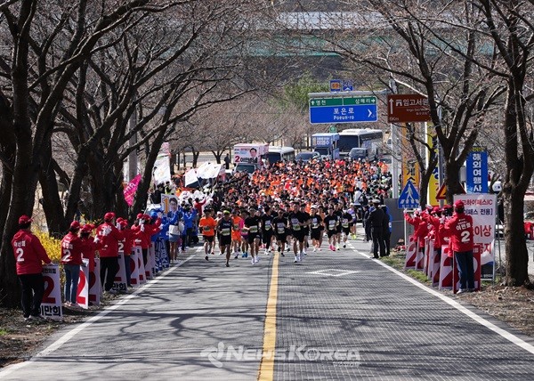 벚꽃 향기 가득한 봄, 영천댐 벚꽃100리길 마라톤대회 개최   @영천시청