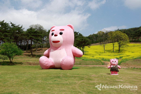 화순 밸리곰 @화순군